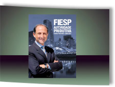 Relatório FIESP